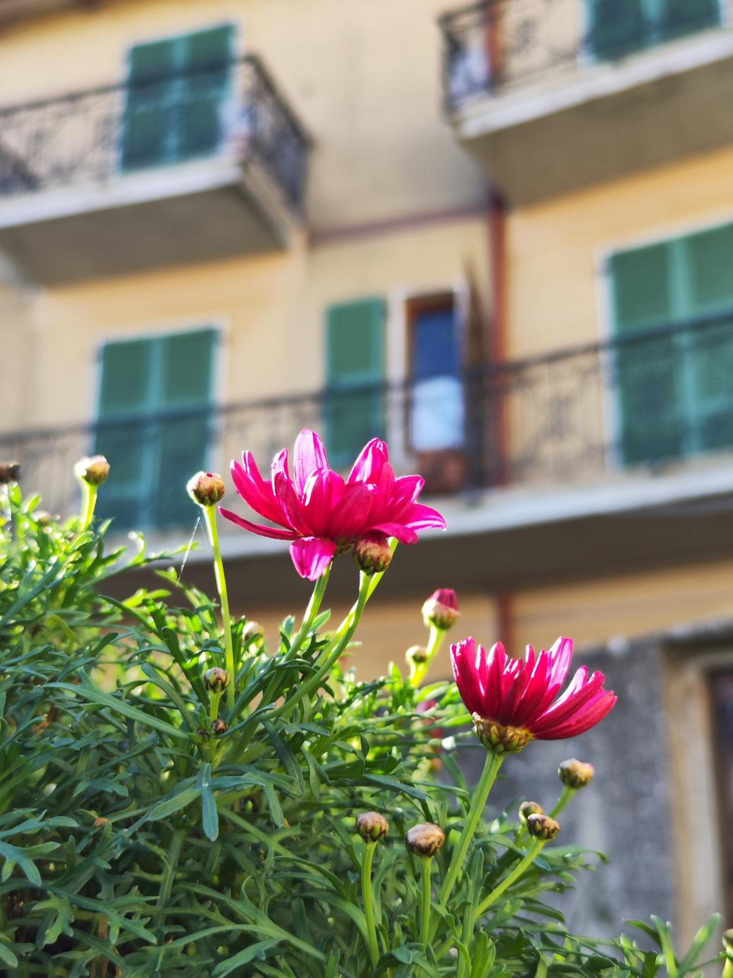 Casa Agello Homestay *